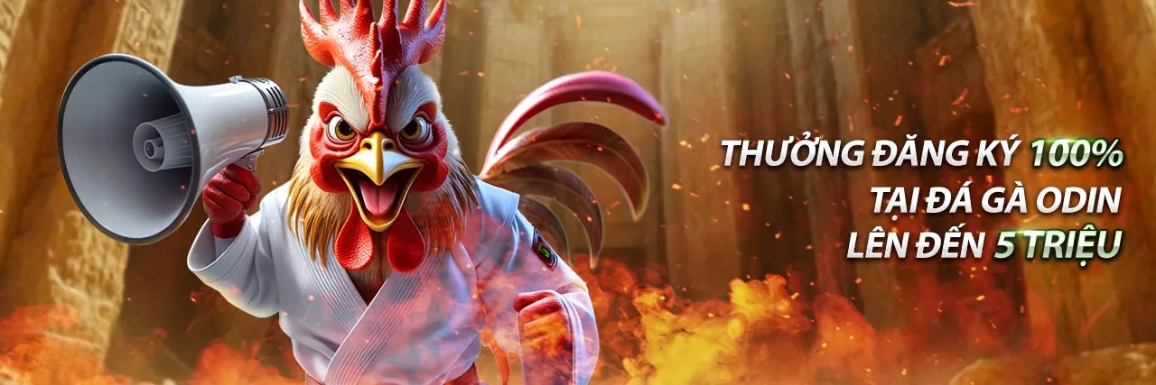 Hình ảnh nền tảng giải trí trực tuyến okviplive